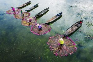 Mekong delta tours