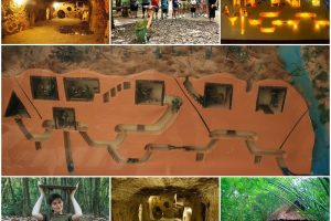 Mekong 1 day tour: Cu chi - My Tho - Ben Tre 1 day
